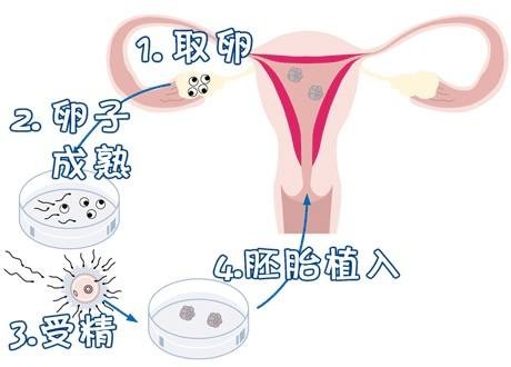 林医師